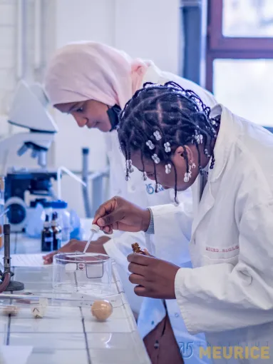 accueil printemps sciences laboratoires heldb