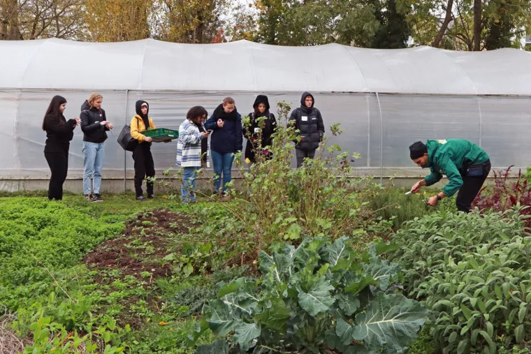 du jardin a l'assiette - gestion hoteliere heldb