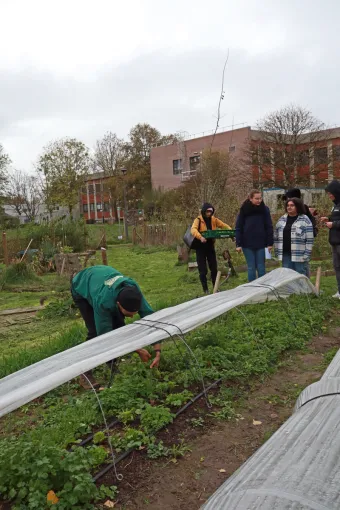 du jardin a l'assiette - gestion hoteliere heldb