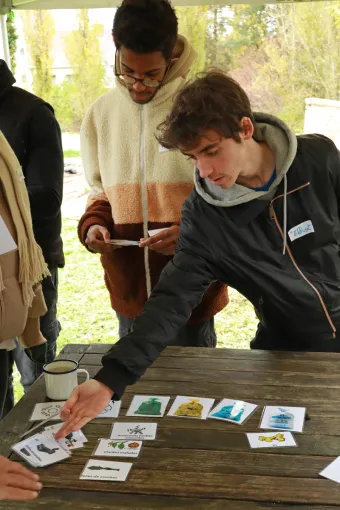 du jardin a l'assiette - gestion hoteliere heldb