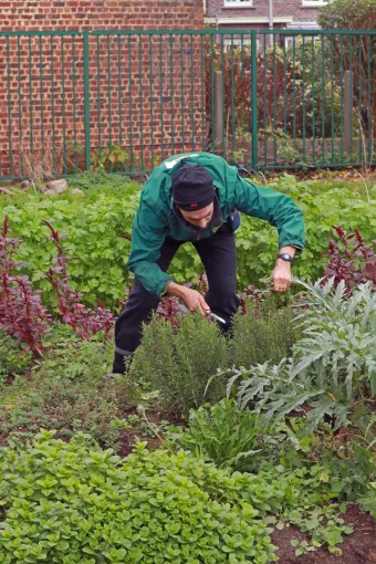 du jardin a l'assiette - gestion hoteliere heldb